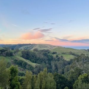 Meet your Posher, Evie